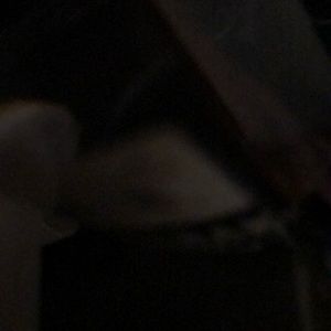 Meet your Posher, Josephine